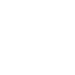 Noodles XO