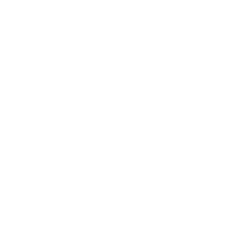 Topo Solutions