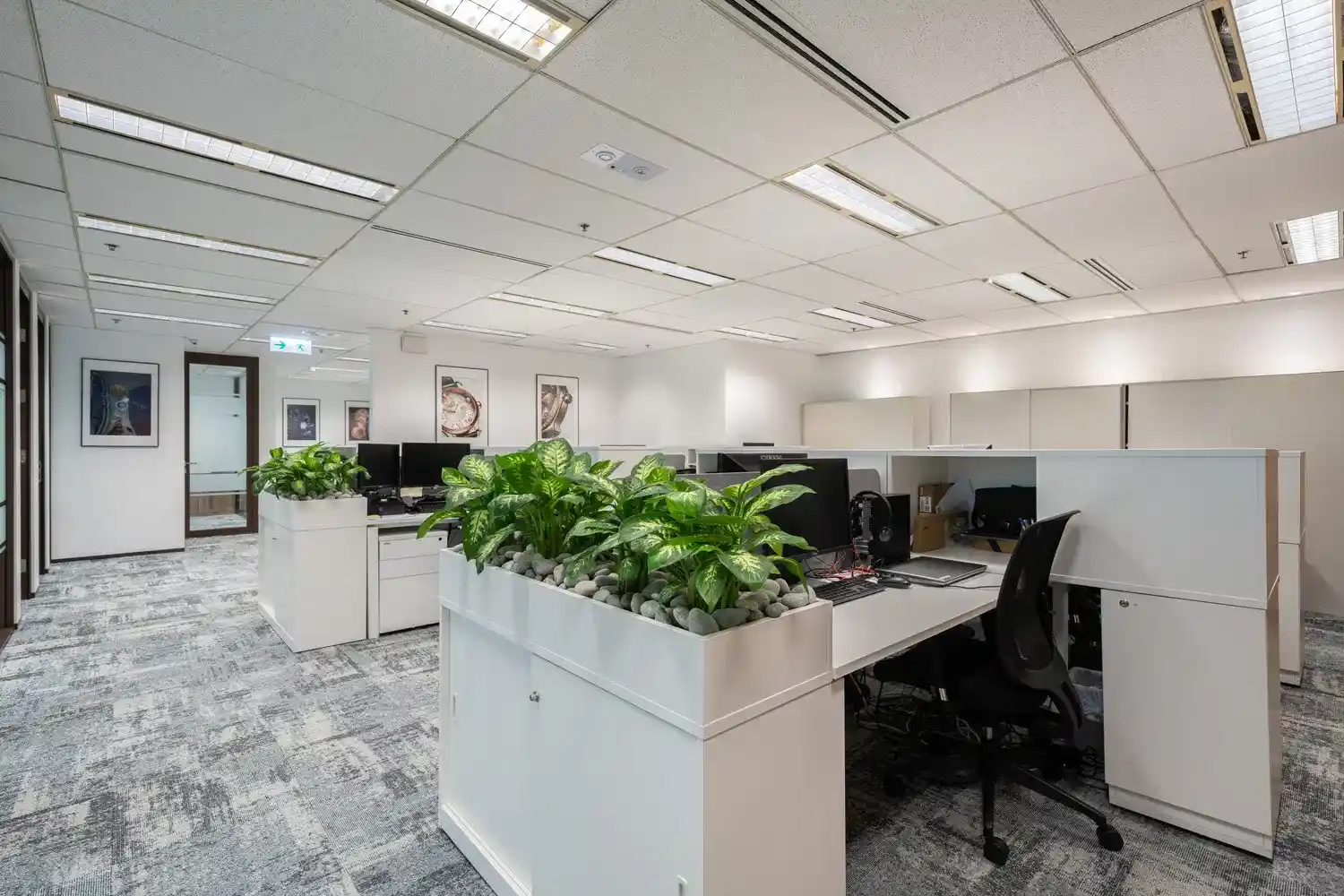 The Impact of Commercial Office Fitouts on Business Productivity