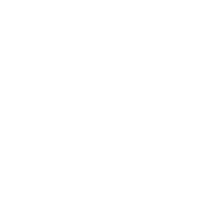 Topo Solutions